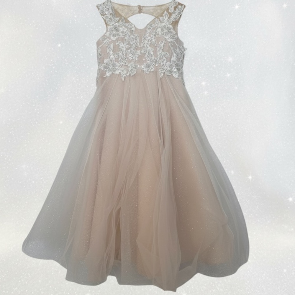 DB Studio Ivory/Cashmere Girls Embellished Glitter Tulle Flower girl Dress Gown